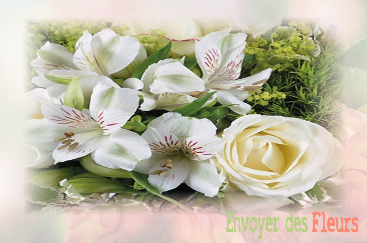 envoyer des fleurs à à VILLERS-LES-LUXEUIL